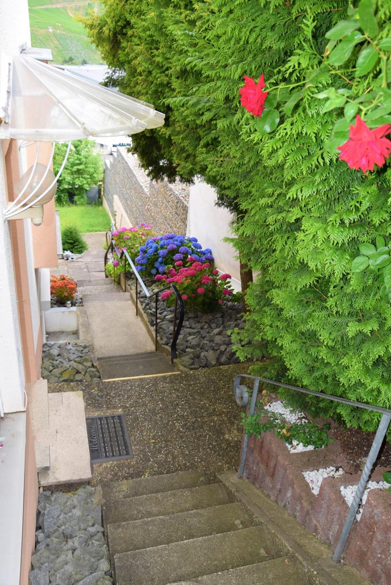 Apartmán Haus Constanze Bernkastel-Kues Exteriér fotografie