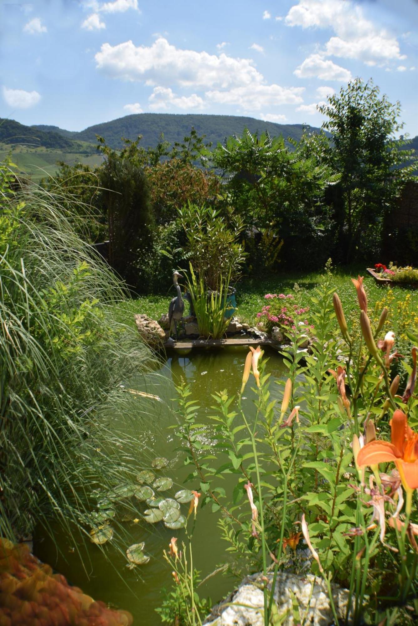 Apartmán Haus Constanze Bernkastel-Kues Exteriér fotografie